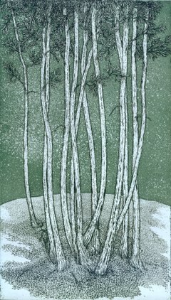 Twelve Trees